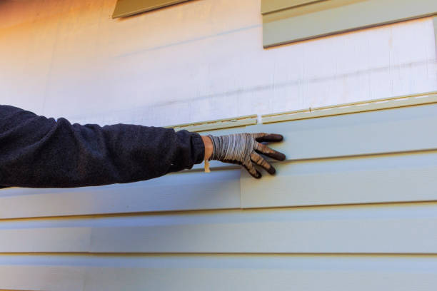 Affordable Siding Repair and Maintenance Services in Ridgebury, CT